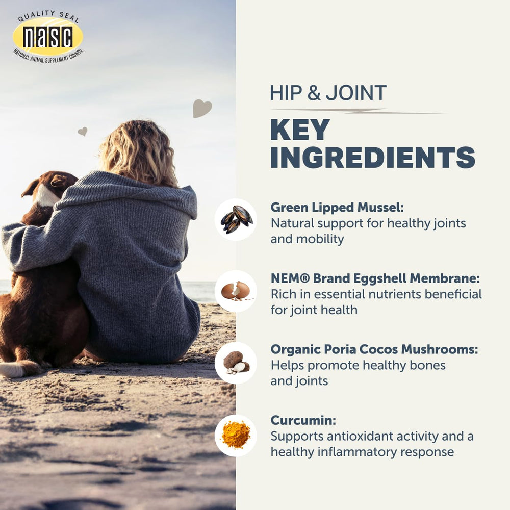 Four Leaf Rover green-lipped mussel ingredient closeup showcases natural joint support
