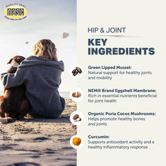 Four Leaf Rover green-lipped mussel ingredient closeup showcases natural joint support