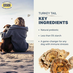 Four Leaf Rover greenhouse-grown turkey tail on wooden surface signals natural sourcing