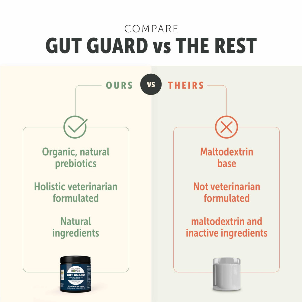 Illustration explains how Four Leaf Rover Gut Guard may support immune health through gut balance.