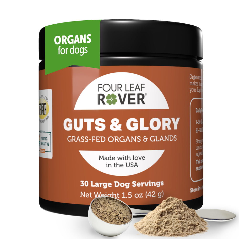 Four Leaf Rover Guts & Glory bottle pour facilitates easy meal topping for dogs