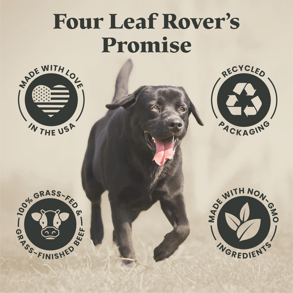 Four Leaf Rover Kibble Fixer packaging-label box highlighting premium ingredients