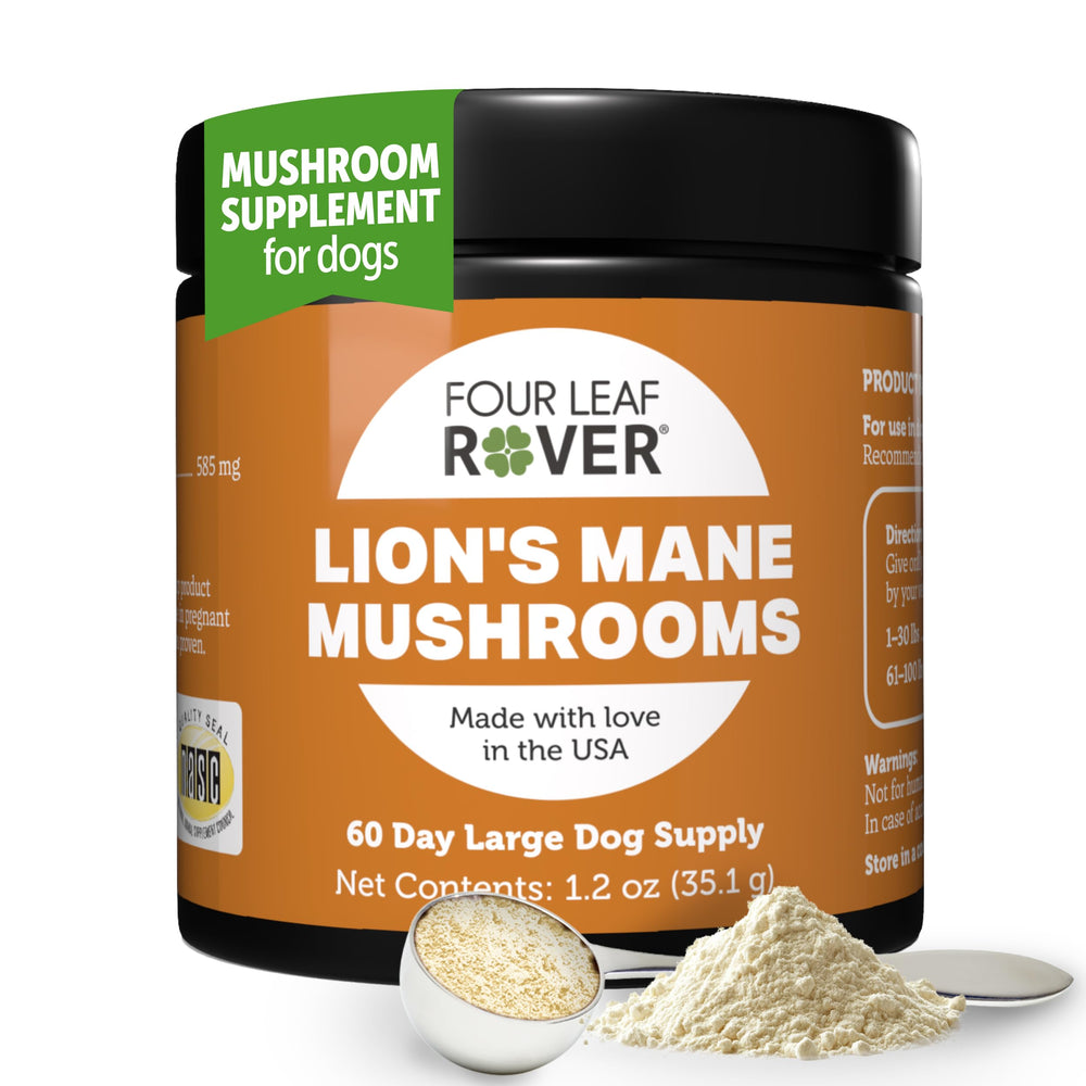 Four Leaf Rover Lions Mane dog mushrooms in bowl promoting brain health and focus.