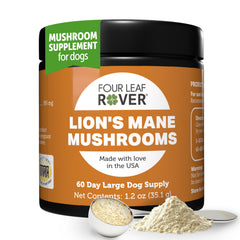 Four Leaf Rover Lions Mane dog mushrooms in bowl promoting brain health and focus.