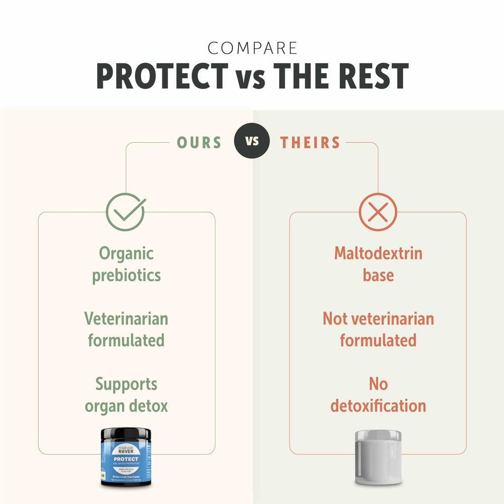 Four Leaf Rover Protect promotes digestive health for dogs across meals.