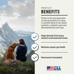 Four Leaf Rover Protect probiotic powder for dogs supports steady digestion.