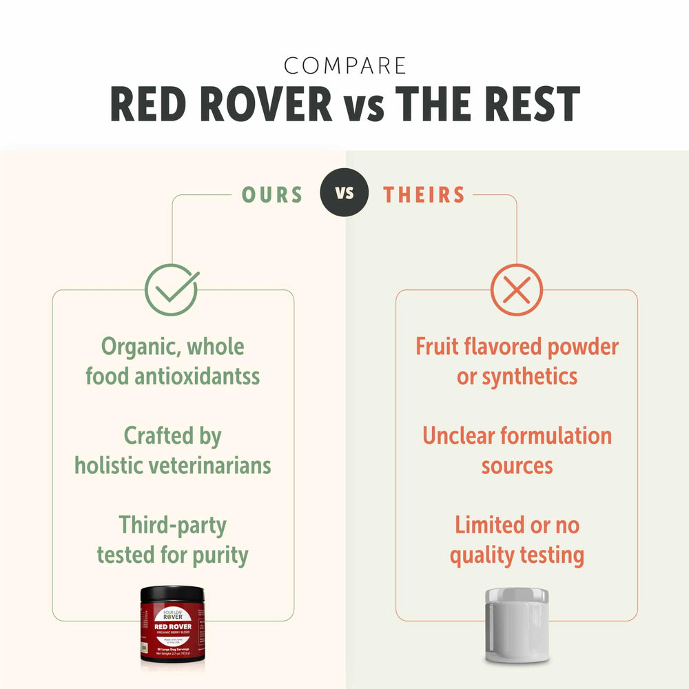 Four Leaf Rover Red Rover berries ingredients showcase cranberries and raspberries for antioxidants.
