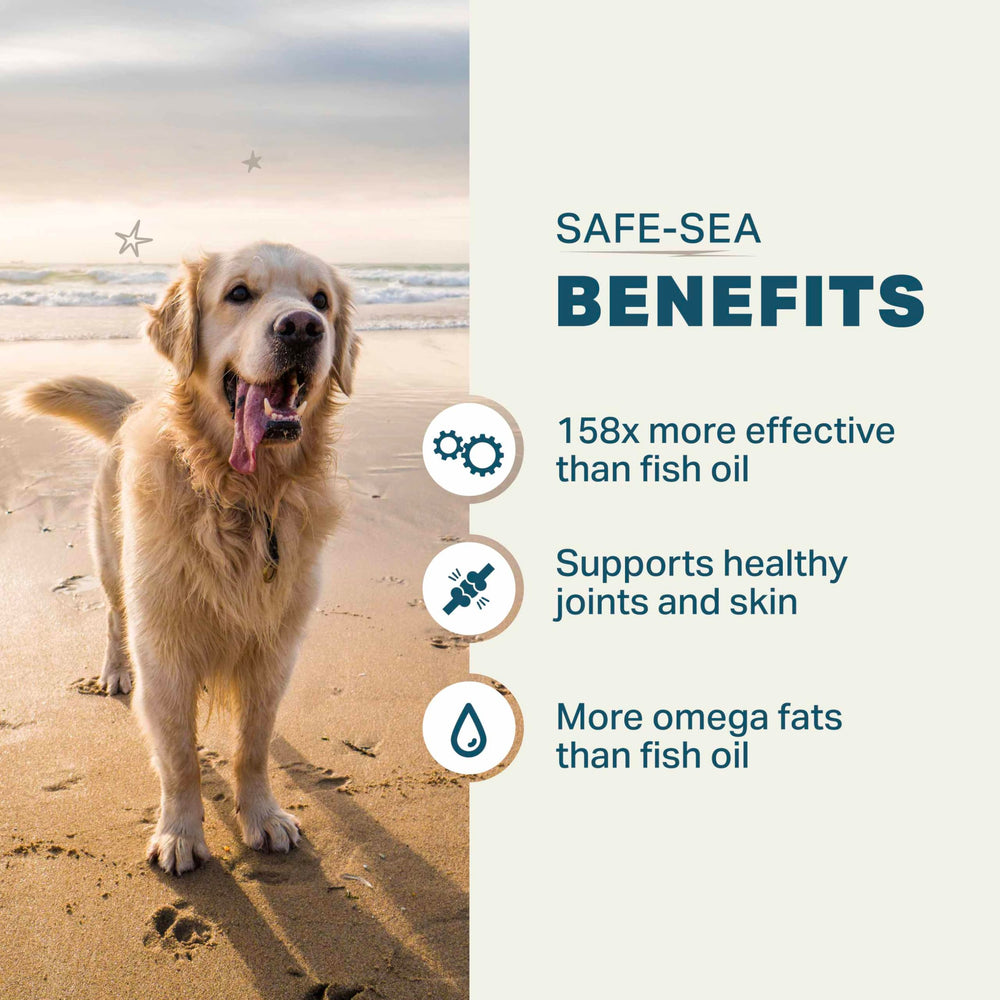 Four Leaf Rover Safe-Sea packaging highlighting sustainable mussel ingredients