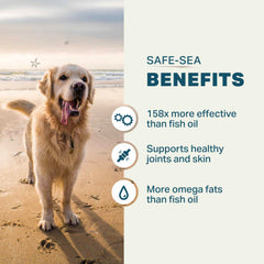 Four Leaf Rover Safe-Sea packaging highlighting sustainable mussel ingredients