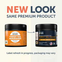 Four Leaf Rover turkey tail powder close-up shows high beta-glucans for immune support