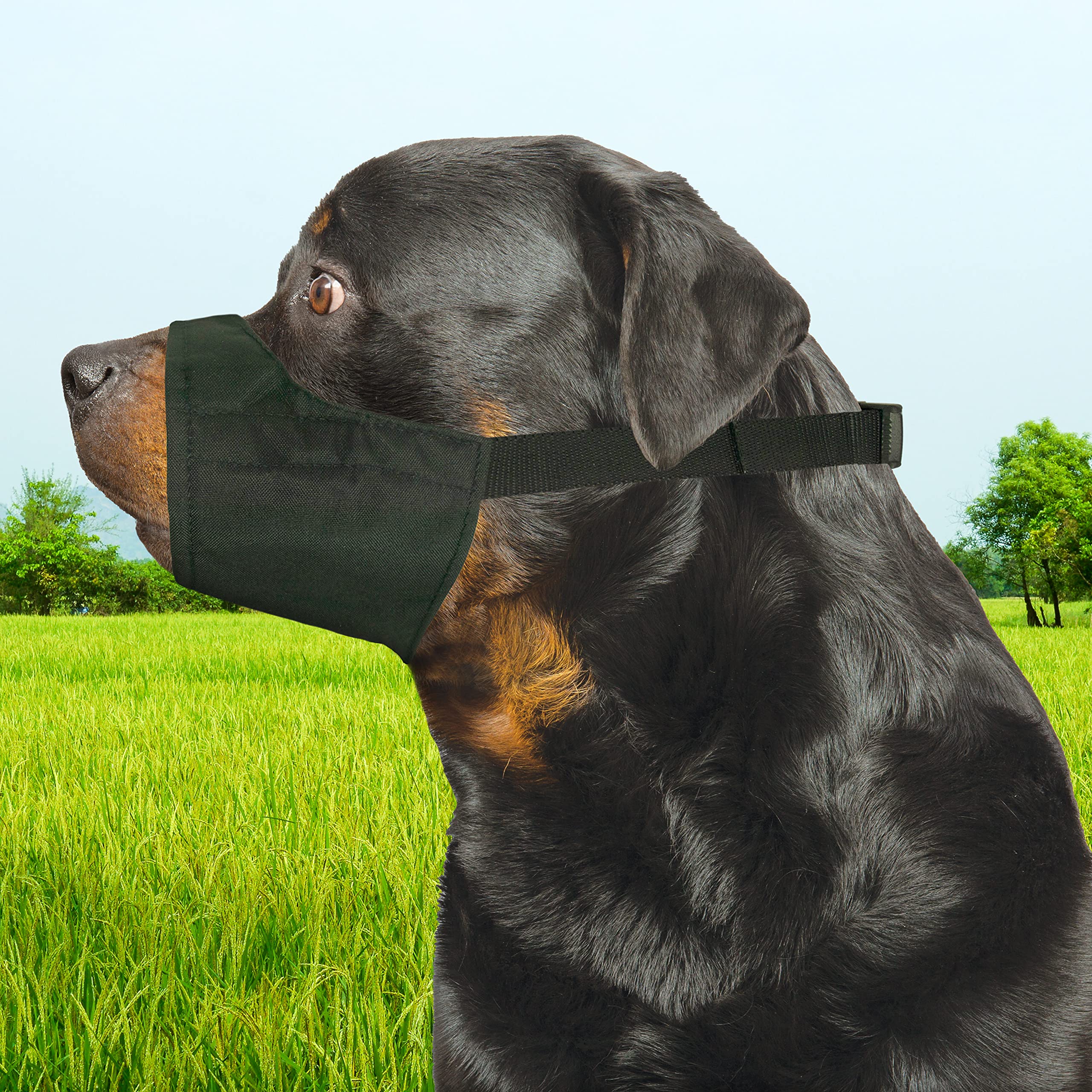 Four Paws Walk-About breathable-design image emphasizes comfort and panting allowance.