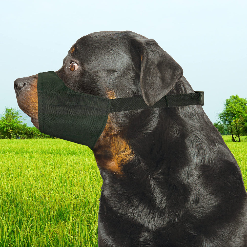 Four Paws Walk-About breathable-design image emphasizes comfort and panting allowance.
