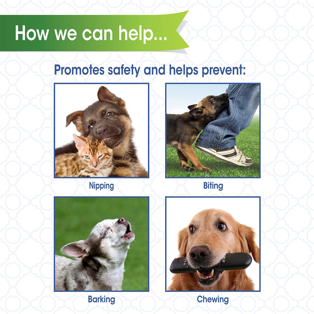 Four Paws Walk-About washable-nylon image suggests easy cleaning after outdoor use.