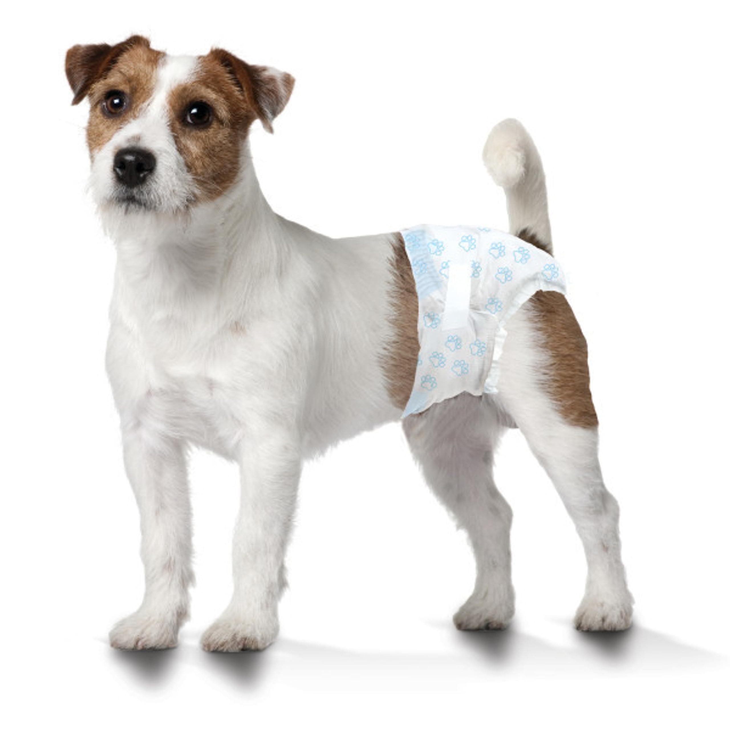 Four Paws Wee-Wee 12-hour protection label promises long-lasting dryness.