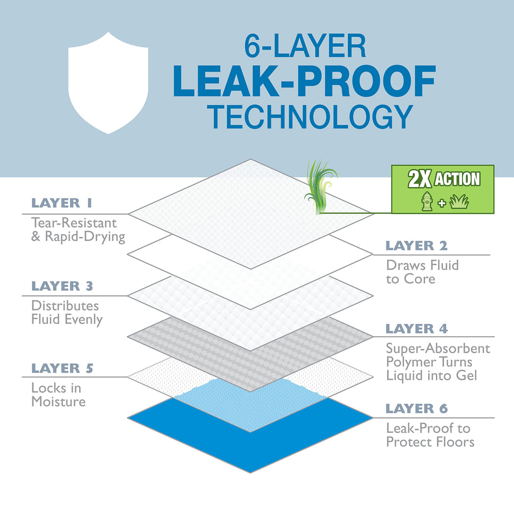 Four Paws Wee-Wee 22x23 inch pads provide ample training space for dogs of all sizes.