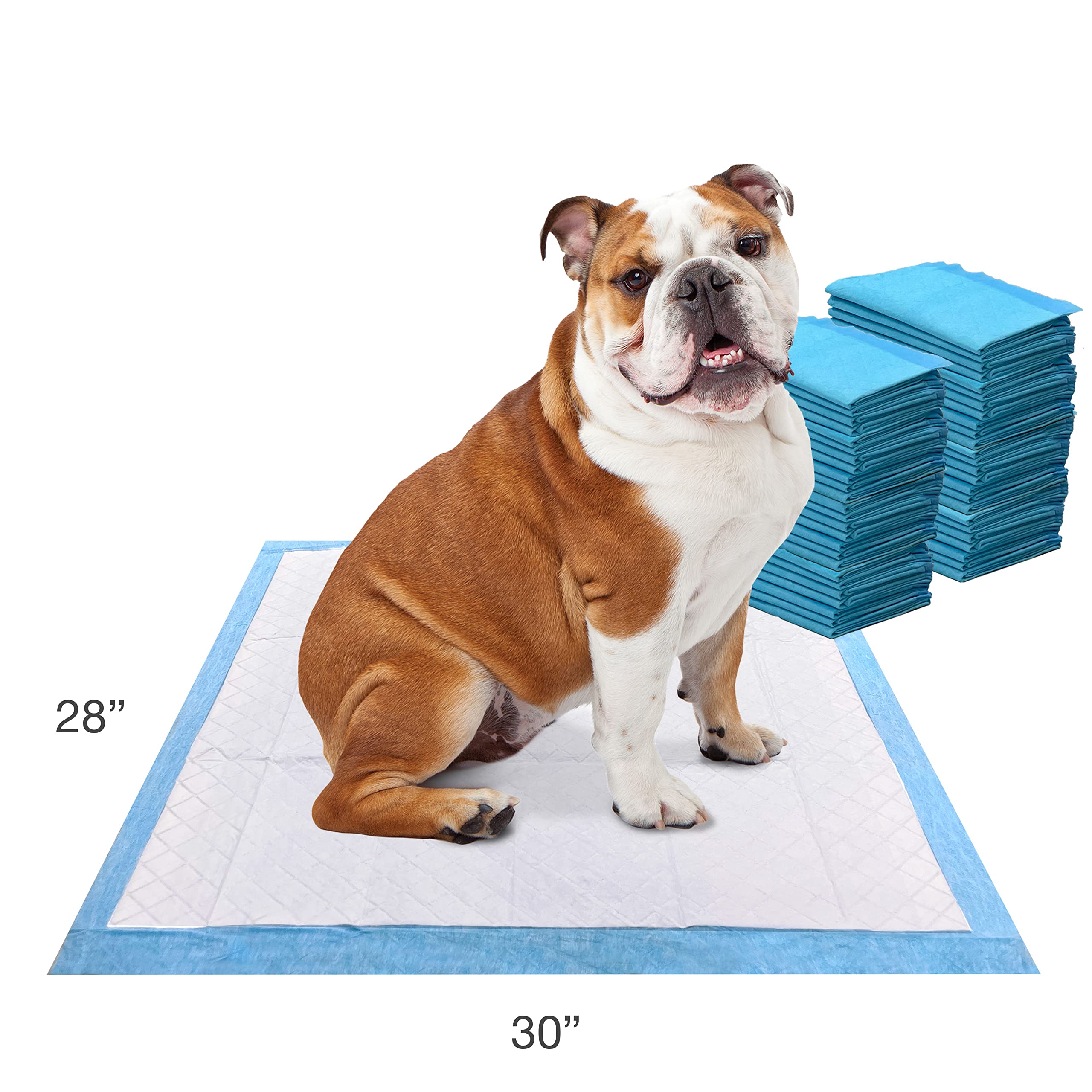Four Paws Wee-Wee pads measure 22 by 23 inches for all dog sizes.