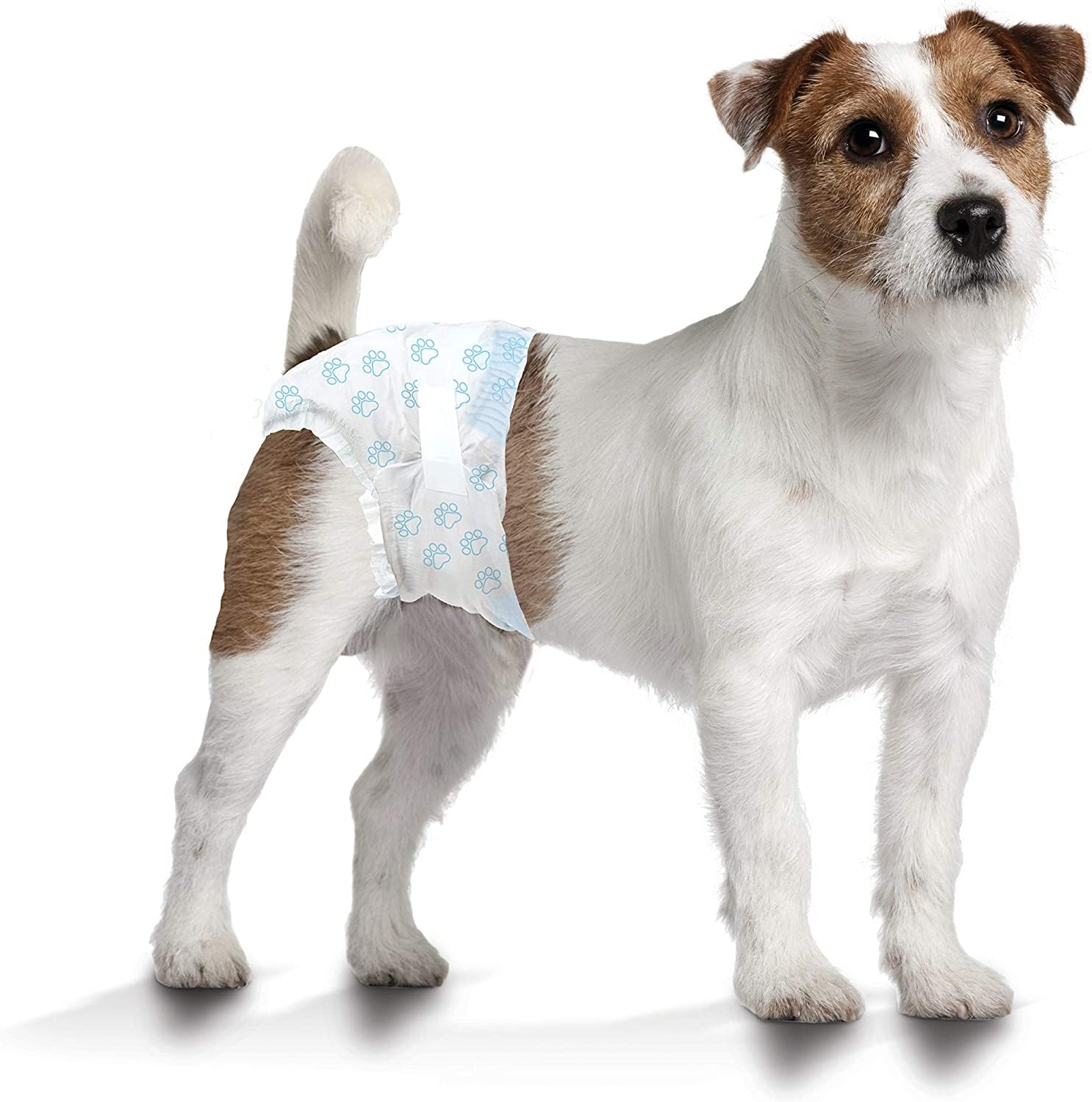 Four Paws Wee-Wee double-stitched design close-up emphasizes durability and leak protection.