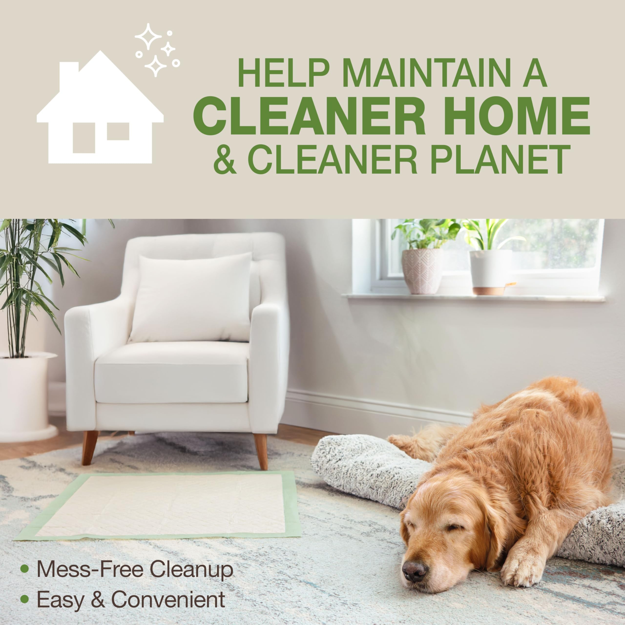 Four Paws Wee-Wee 26-hour protection supports all-day reliability.
