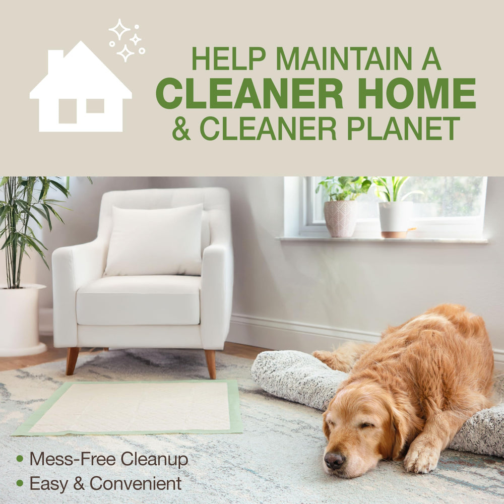 Four Paws Wee-Wee 26-hour protection supports all-day reliability.