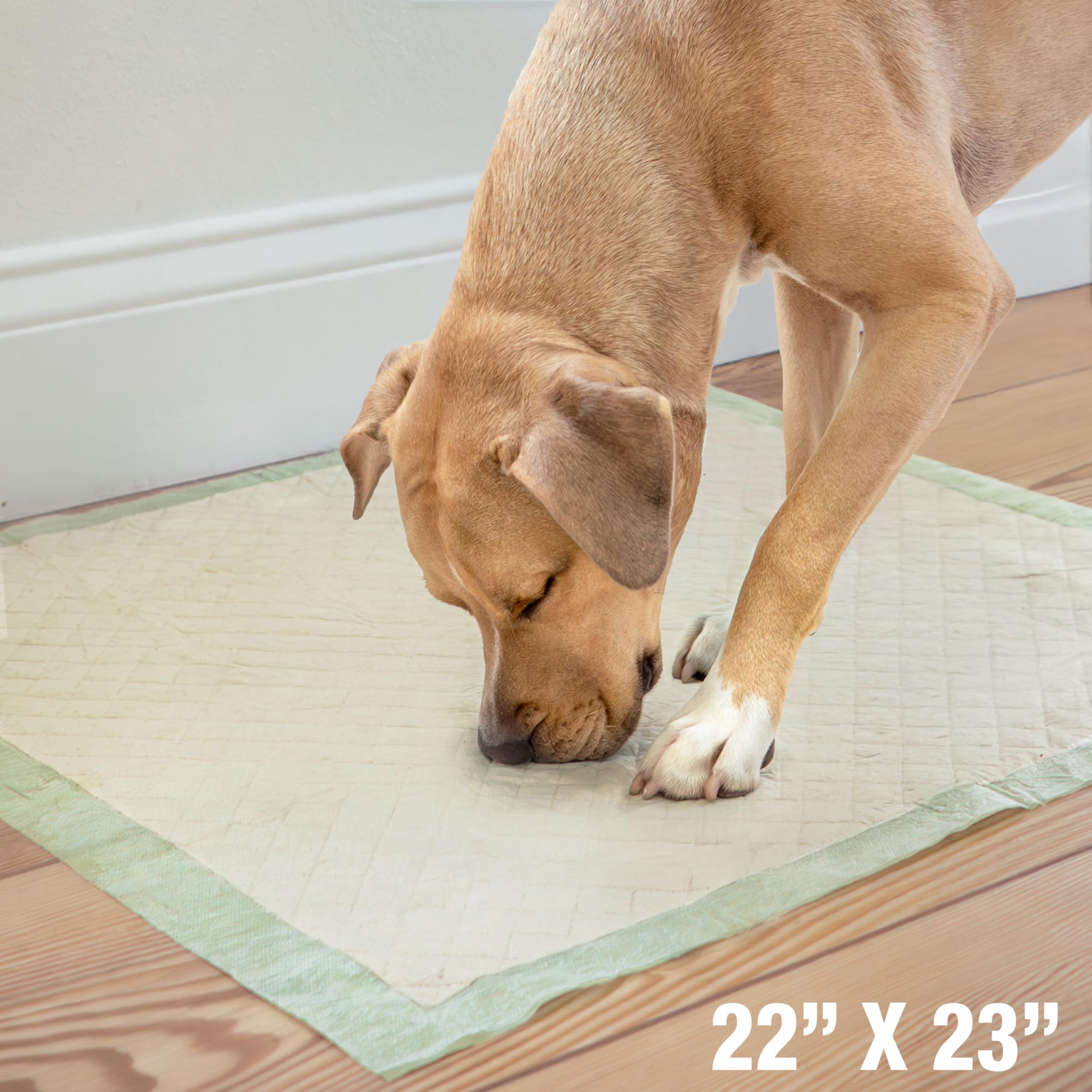 Four Paws Wee-Wee Floor Armor system delivers leak-proof protection for busy dogs.