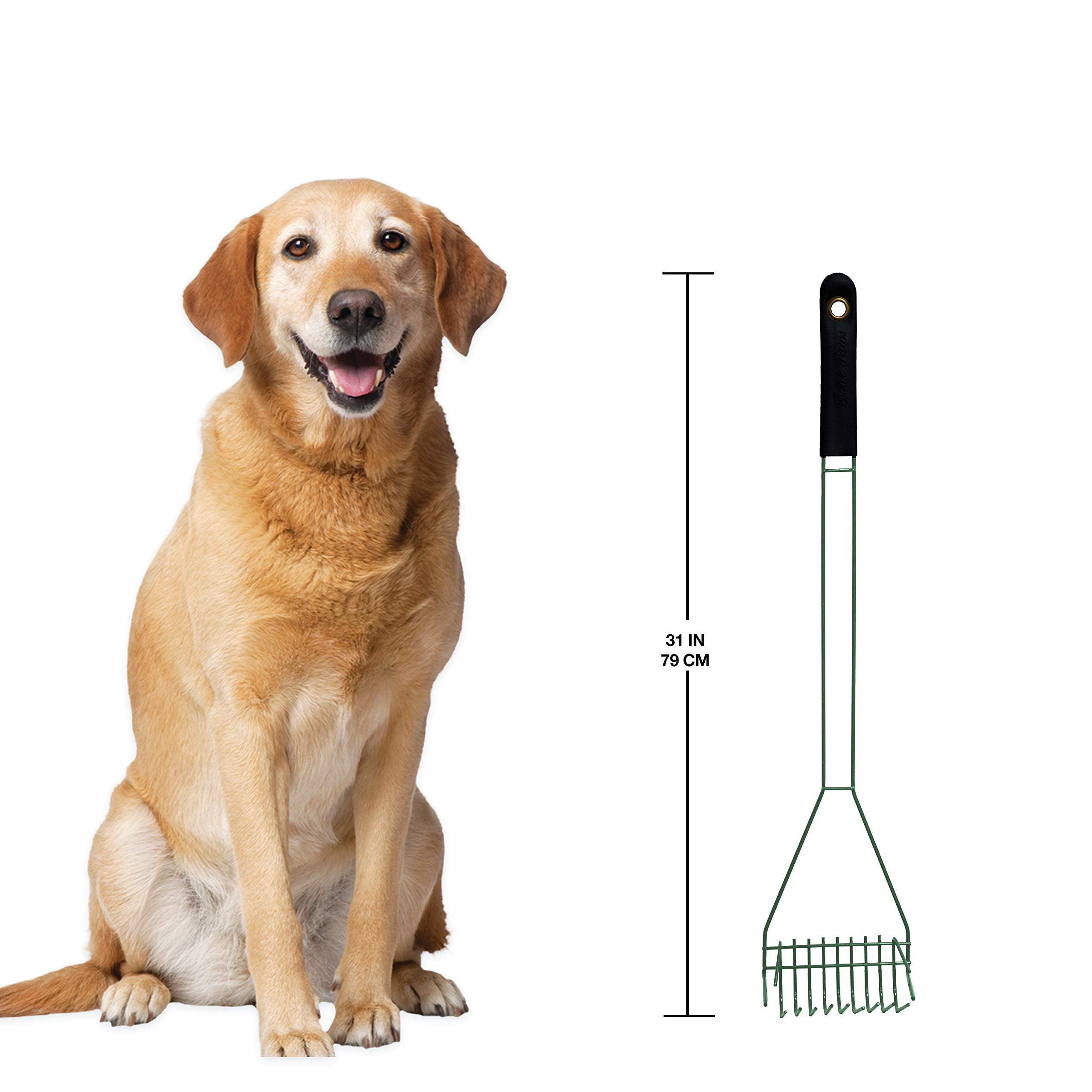 Four Paws Wee-Wee Scooper with beach sand cleanup capability