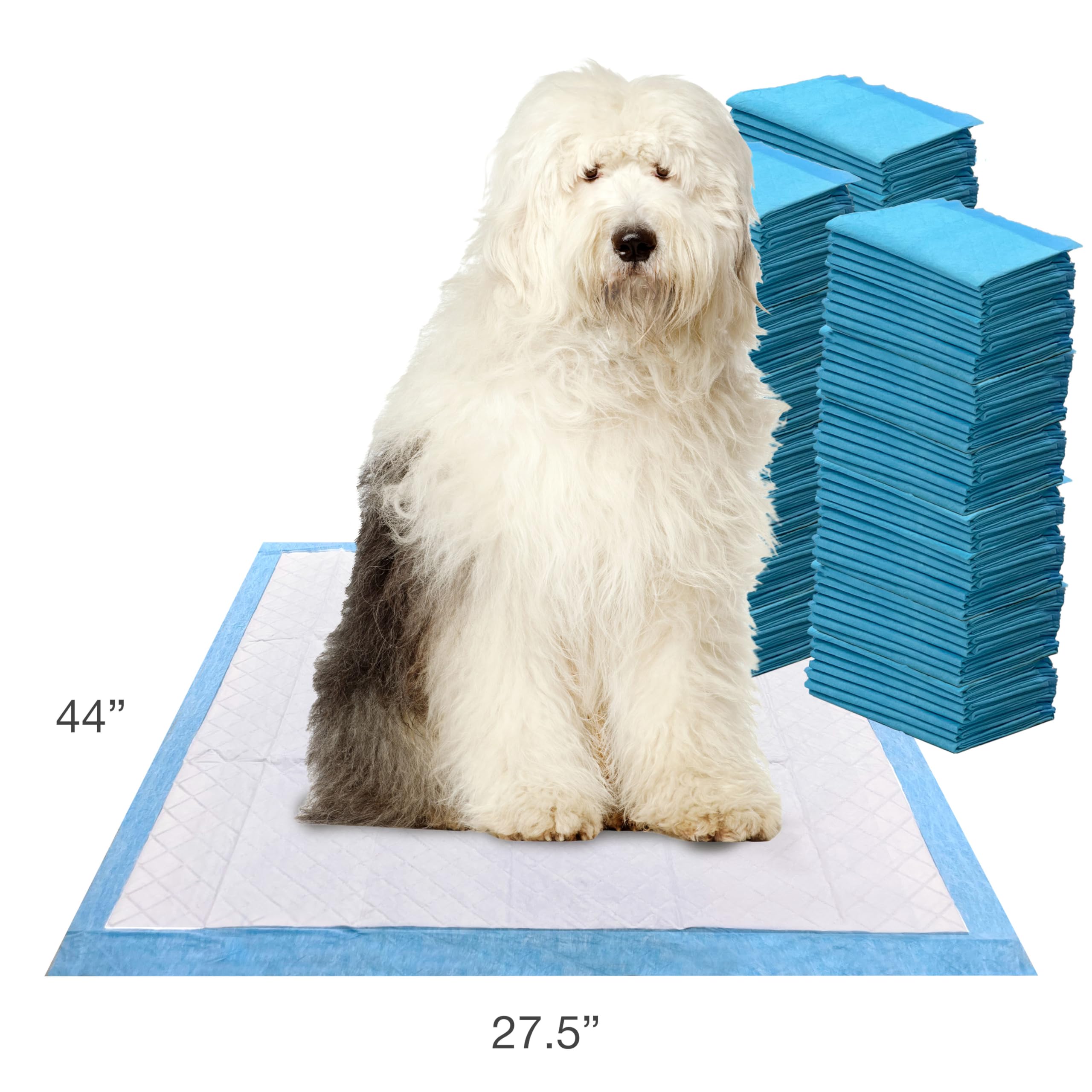 Four Paws Wee-Wee rapid-dry-top-layer shows quick moisture absorption