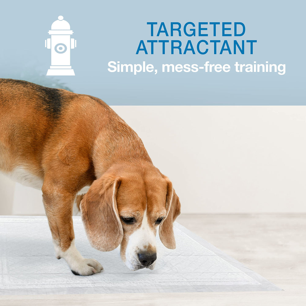 Four Paws Wee-Wee targeted attractant draws dogs to the pad during training
