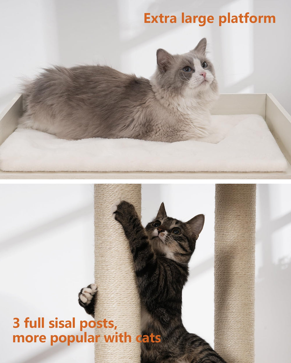 FourFurPets 437 cat tree assembly guide helps quick setup