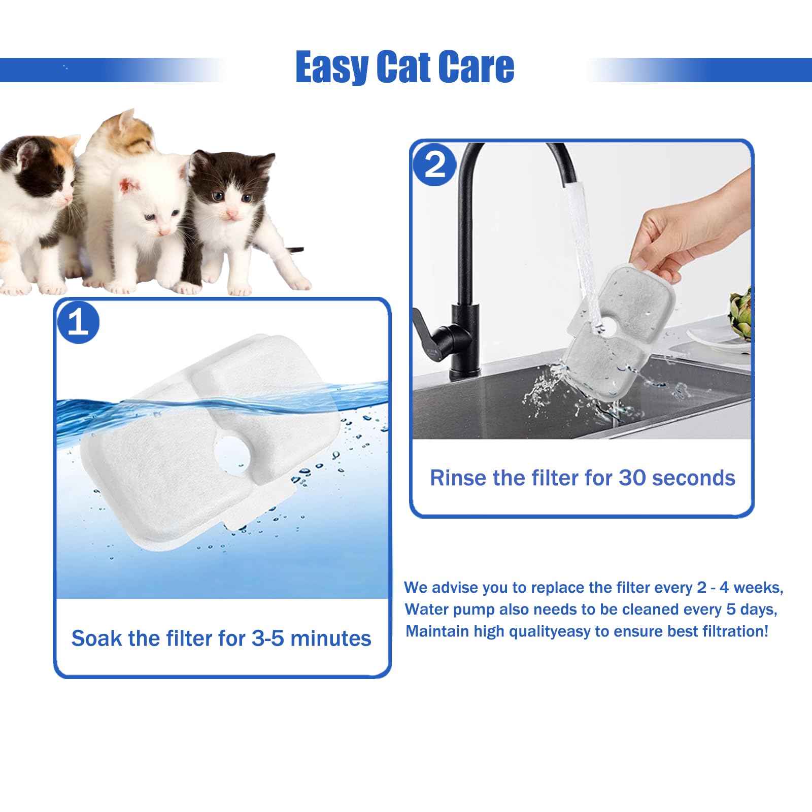 FOURHARVEST cat drinking from fountain illustrates inviting hydration from clean water