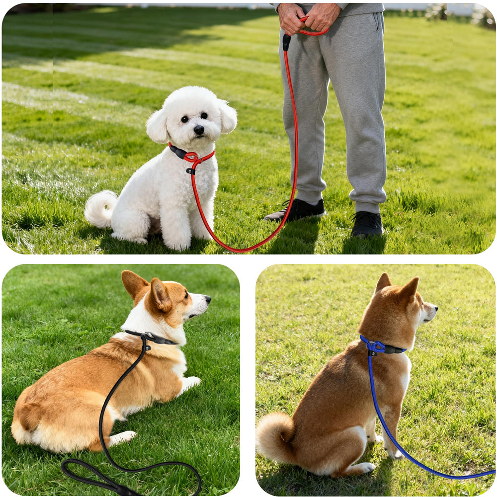 FOVRLZSE transparency codes ensure genuine, quality dog slip lead