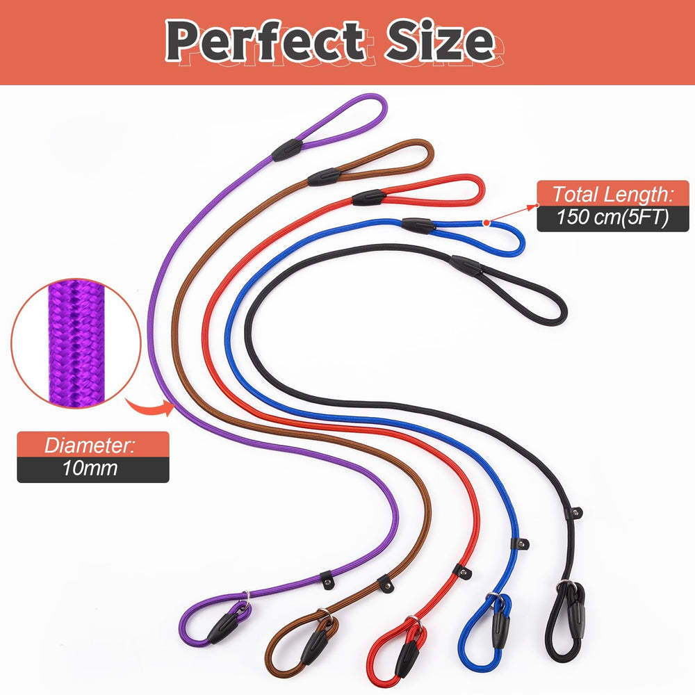 FOVRLZSE dog-walking-outdoor-activity supports versatile use for park strolls and hikes