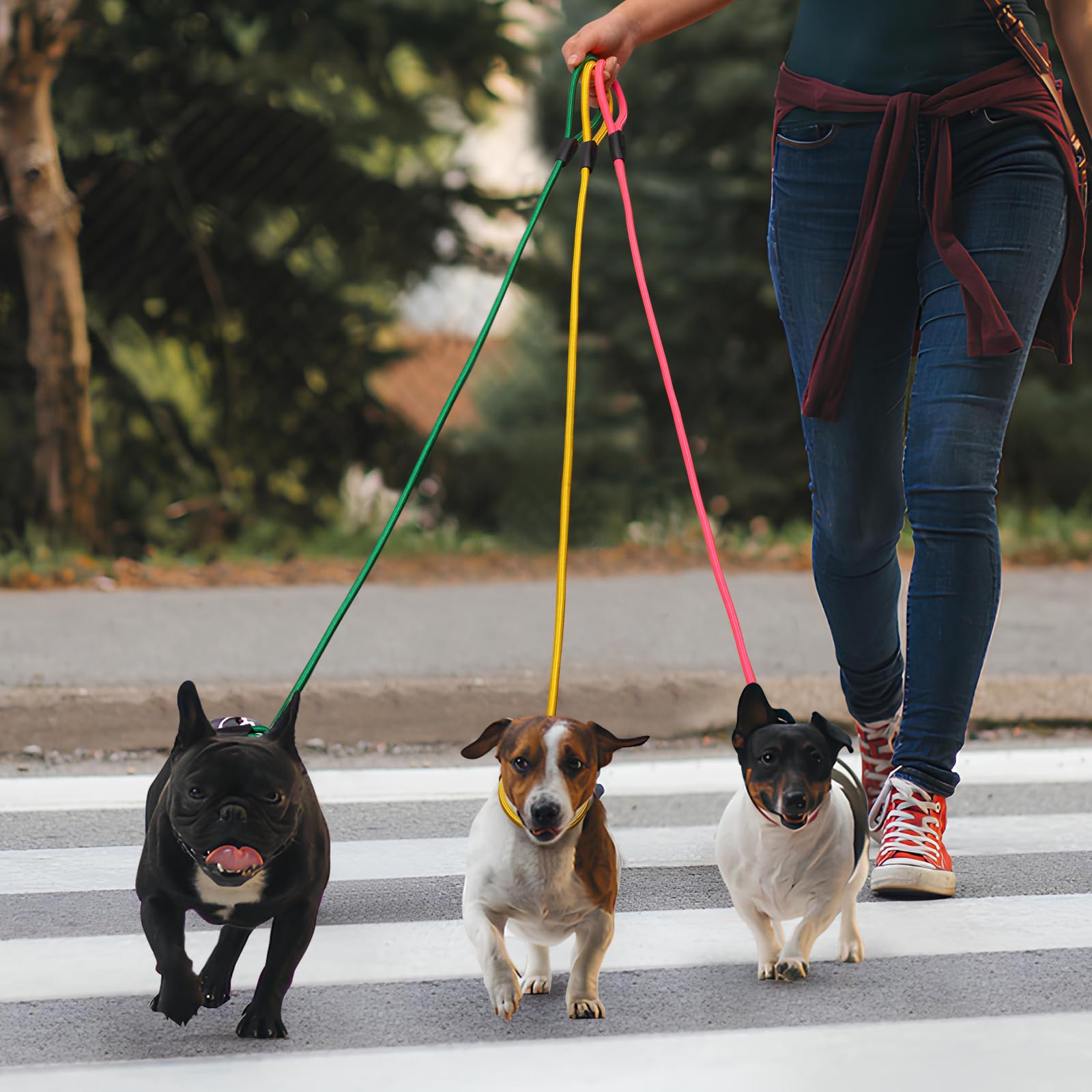 FOVRLZSE slip lead on dog walk demonstrates no-pull design benefits