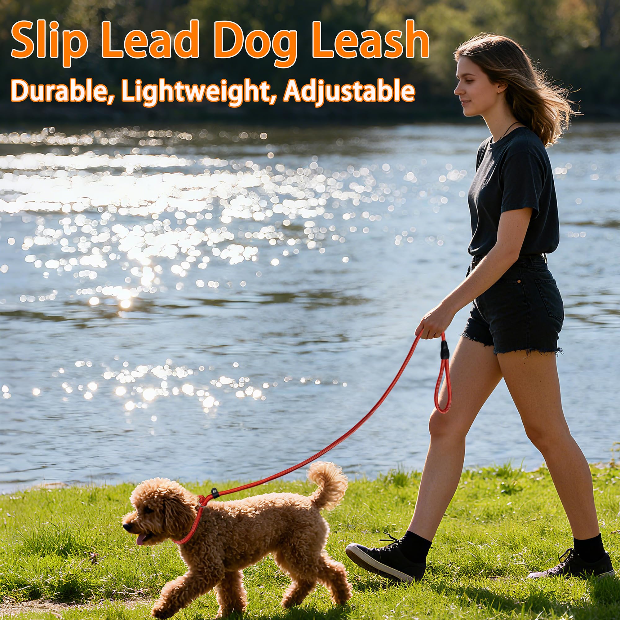 FOVRLZSE training slip lead suitable for puppies through large breeds