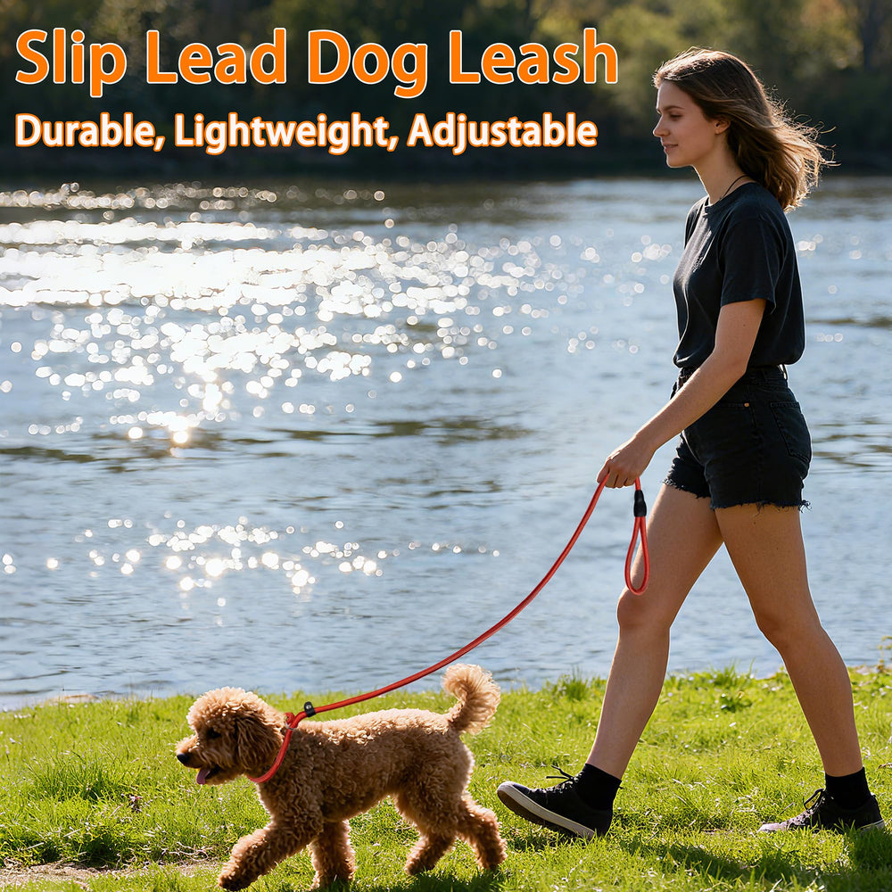 FOVRLZSE training slip lead suitable for puppies through large breeds