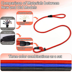 FOVRLZSE blue slip lead providing 1.4m control for confident strolls