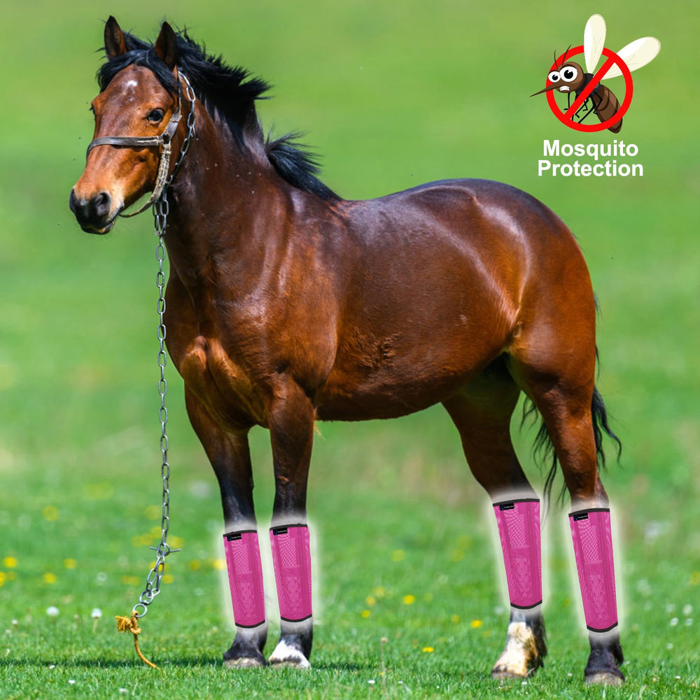 FOXLVDA horse fly boots pink large metal bars image showing stability.