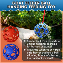 Foycow hay ball in bright color attracts horses and eases boredom.