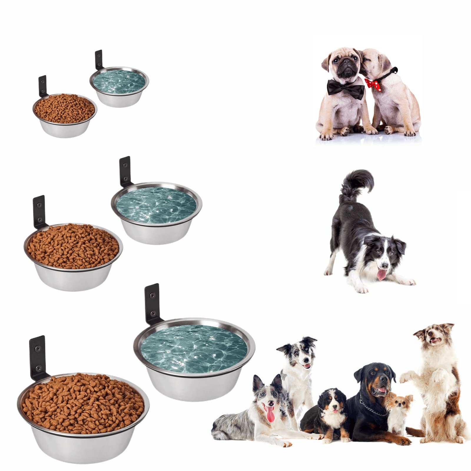 FOYO adjustable-height mount on wood board suits small dogs and cats.