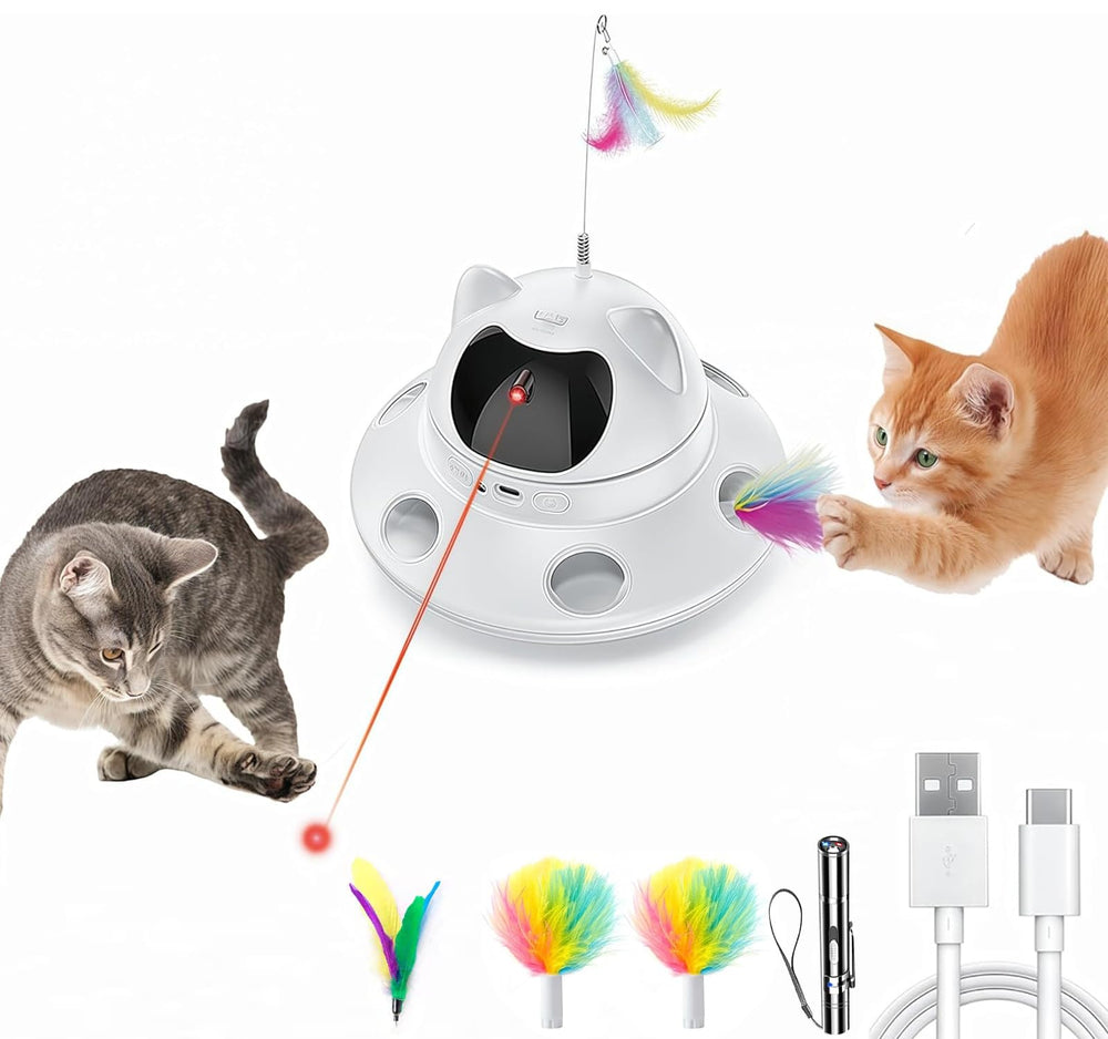 Foyoilait indoor exercise toy for cats of all breeds.