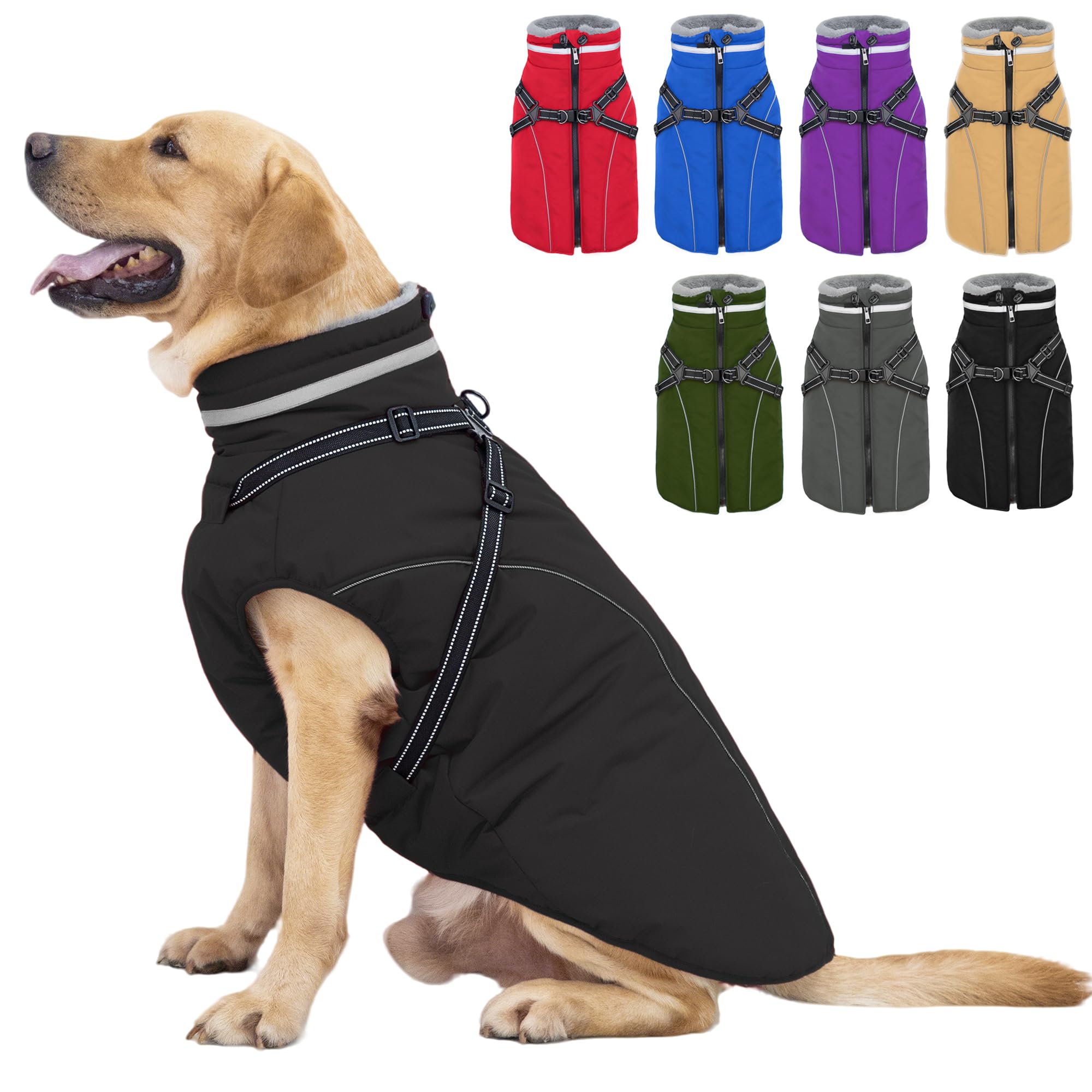 Fragralley dog coat adventure-ready for hiking or camping in winter
