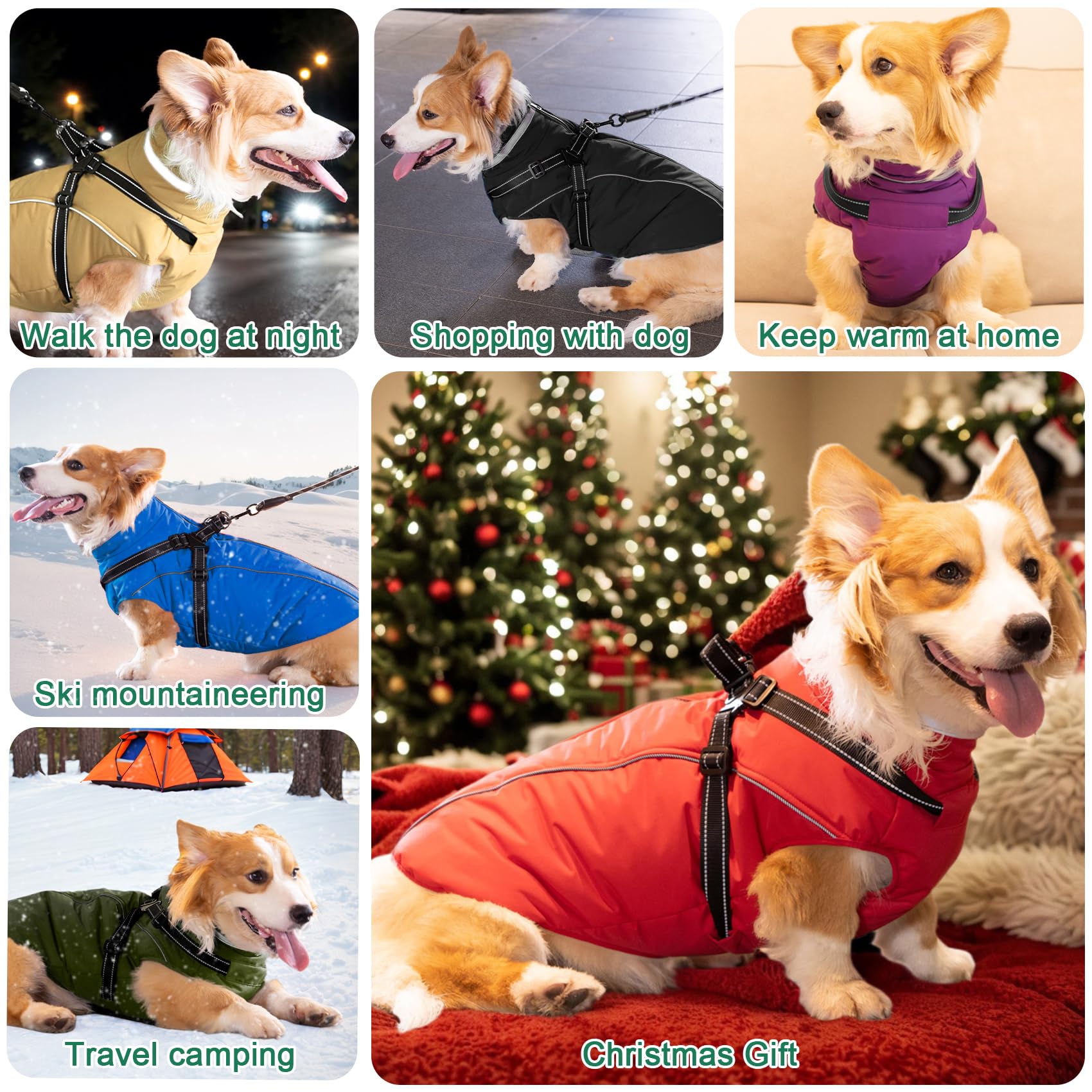 Fragralley dog coat anti-slip zipper stays secure during play