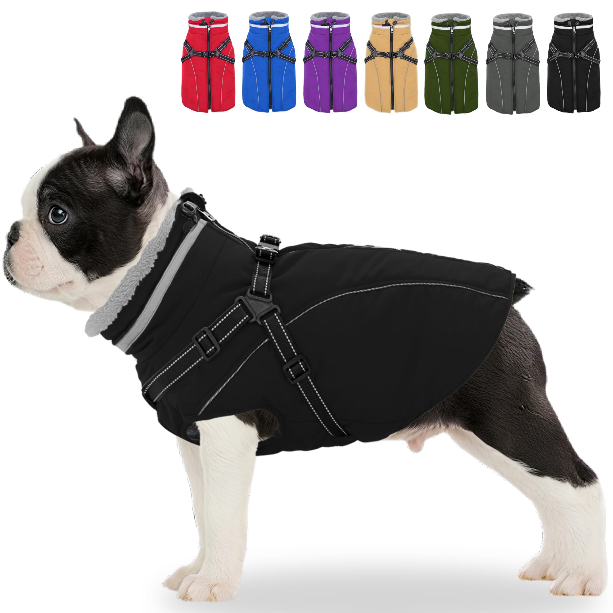 Fragralley dog coat custom-fit with adjustable straps for every breed
