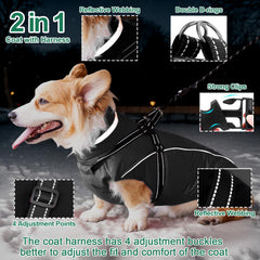 Fragralley dog coat harness quick-zip design eases anxious dogs during dressing