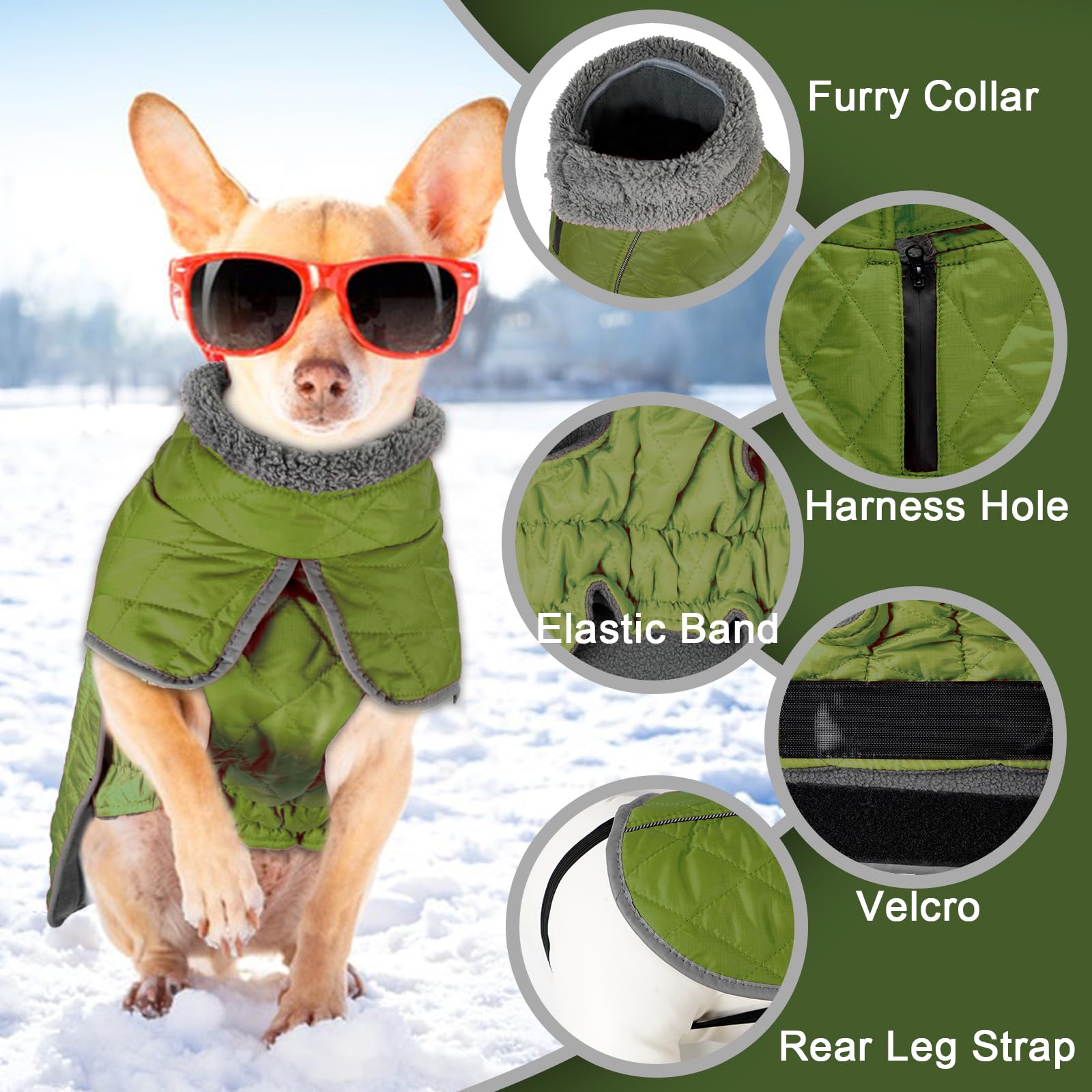 Fragralley dog winter coat with elastic abdominal band for comfortable movement.