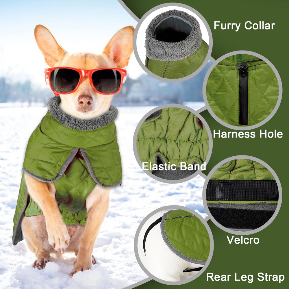 Fragralley dog winter coat with elastic abdominal band for comfortable movement.