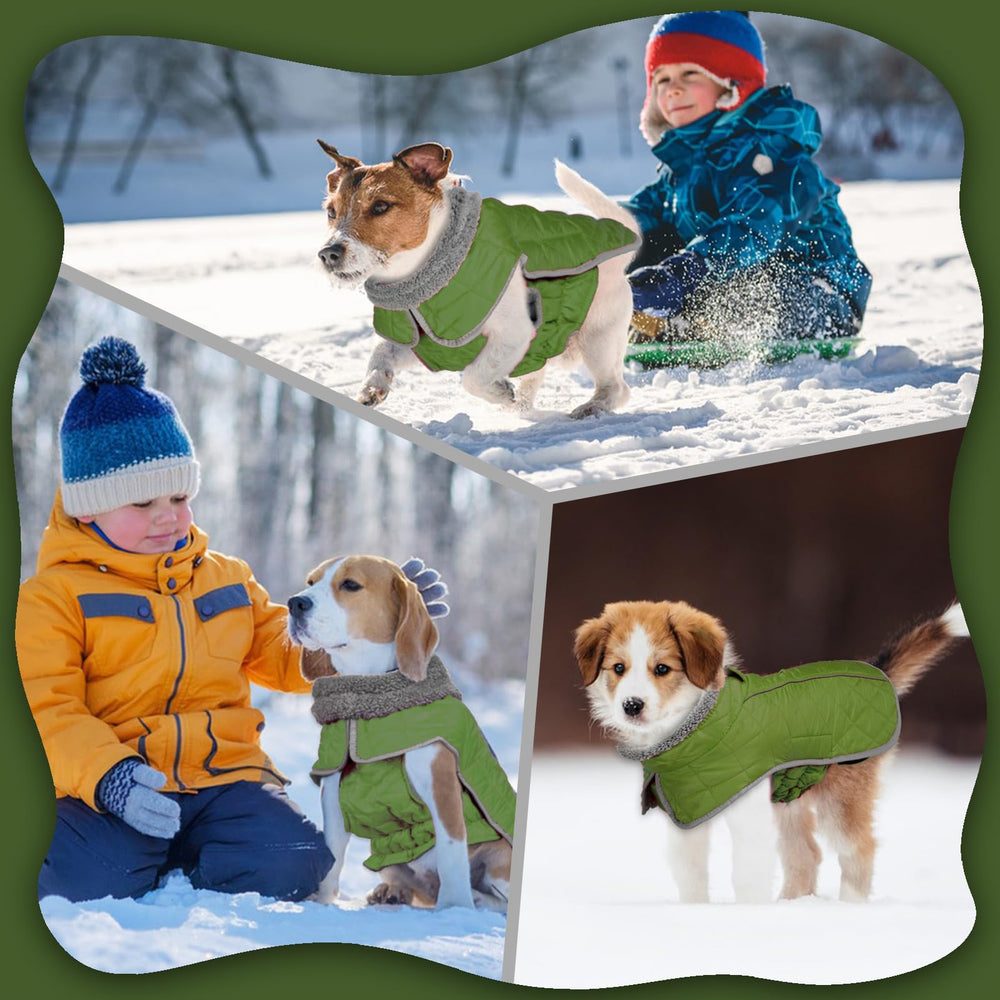 Fragralley dog winter coat with rear leg strap for secure fit during play.