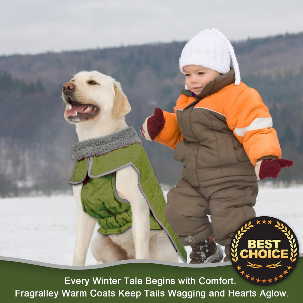 Fragralley dog winter coat shows water-repellent outer layer and warm inner lining.