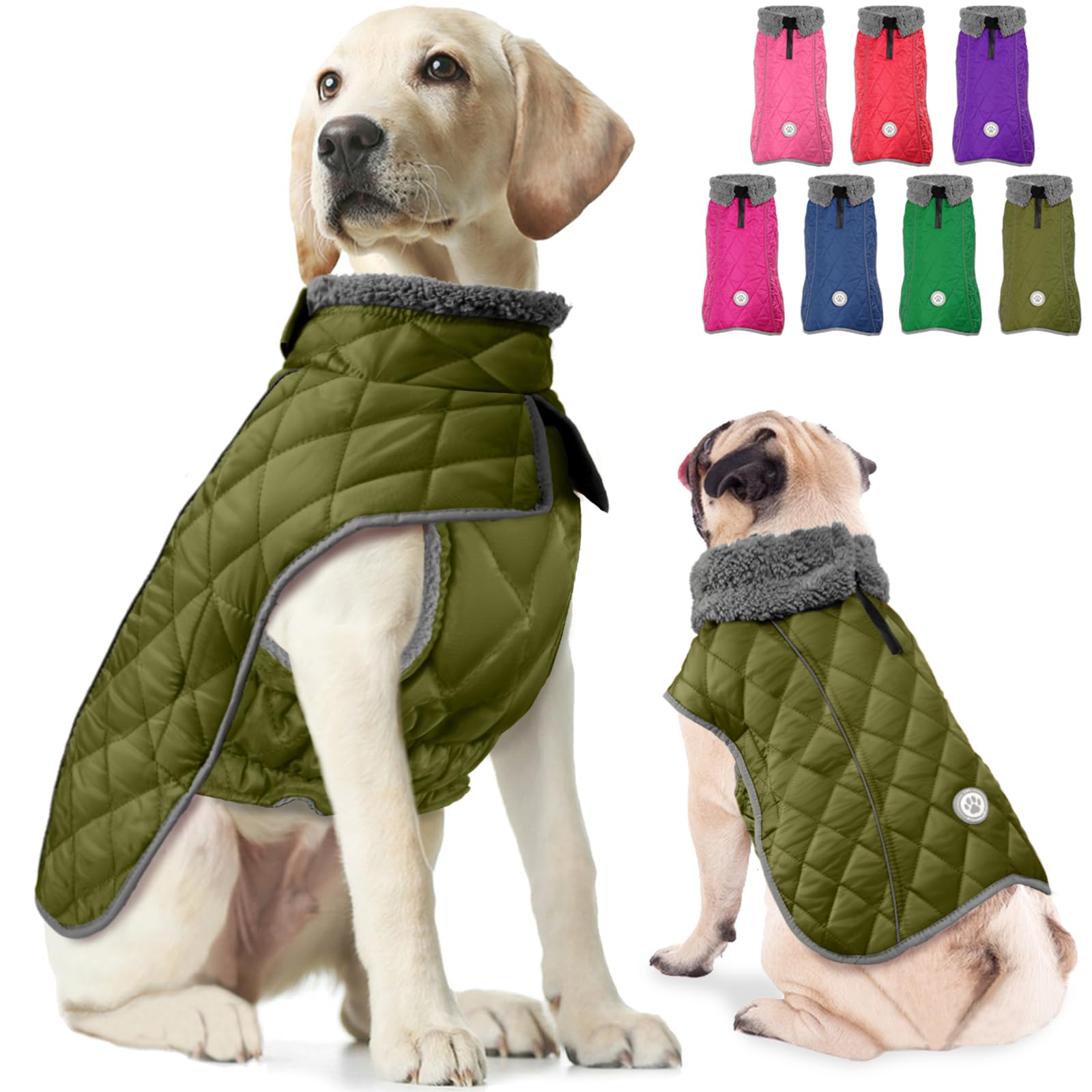 Fragralley dog winter coat - waterproof fabric for all-weather protection on rainy days.