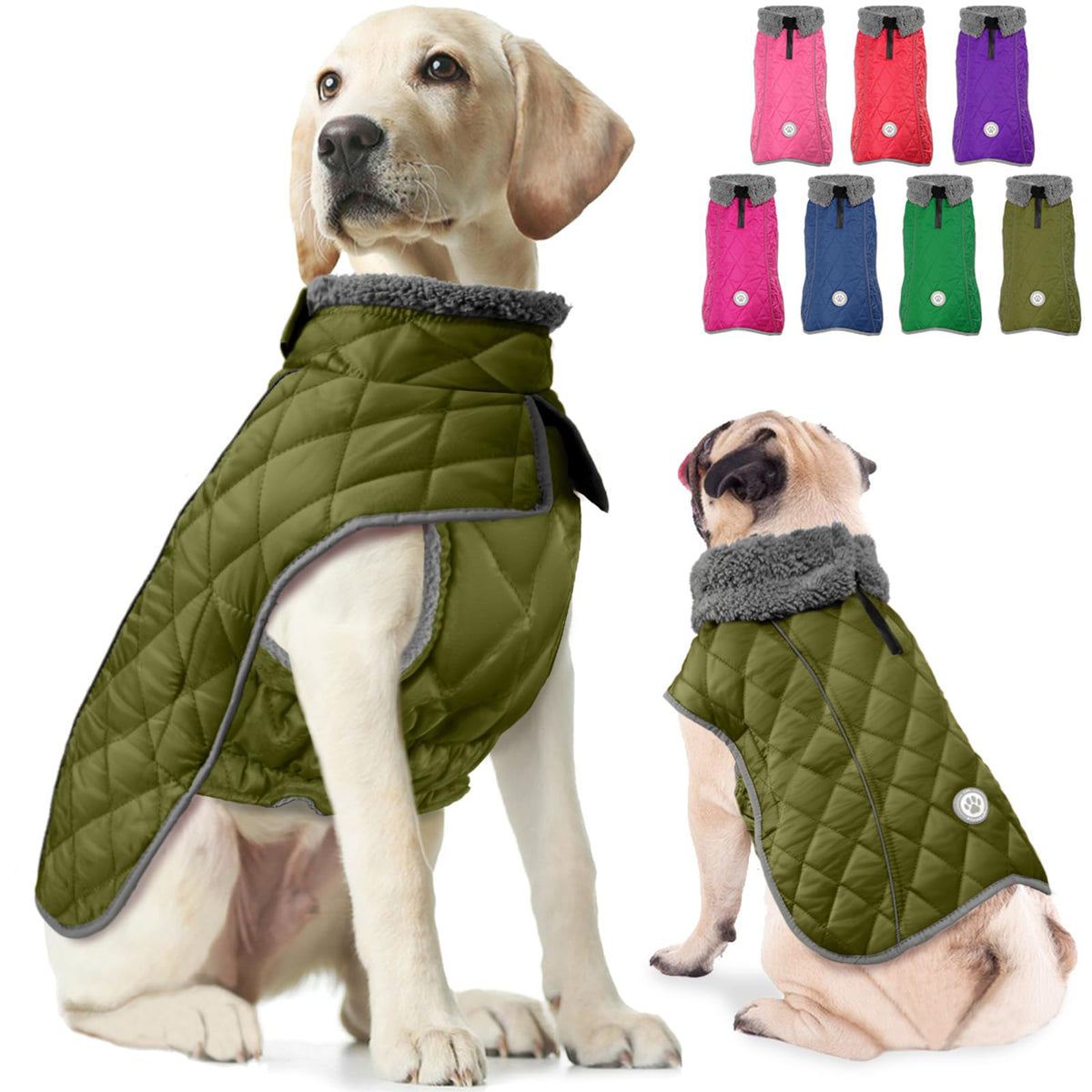 Fragralley dog winter coat - waterproof fabric for all-weather protection on rainy days.
