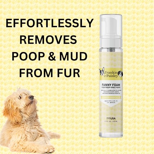 Frankie & Paisley cat paw cleaner used on a paw for quick post-play cleanup.